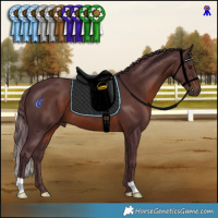 Horse Color:Chocolate Brown 