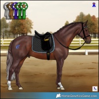 Horse Color:Chocolate Brown