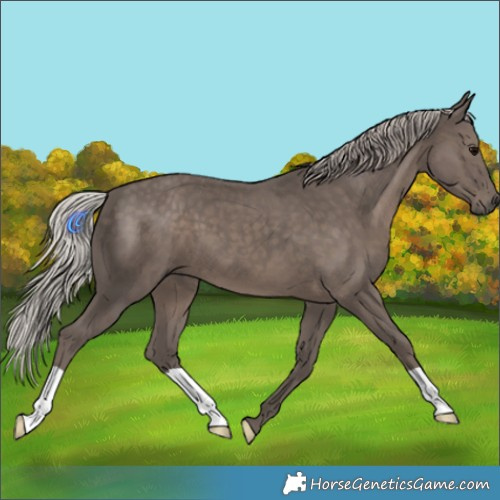 Horse Color:Silver Black 