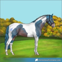 Horse Color:Watercolor Liver Chestnut Tobiano 