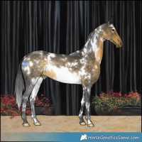 Horse Color:White Spotted Buckskin