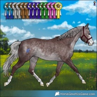 Horse Color:Chocolate Silver Brown Chinchilla 