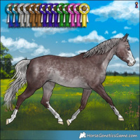 Horse Color:Chocolate Silver Brown Chinchilla 
