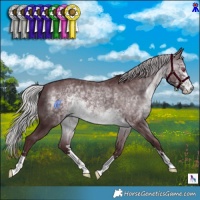 Horse Color:Chocolate Silver Brown Chinchilla