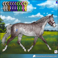 Horse Color:Chocolate Silver Brown Chinchilla 