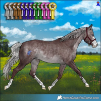 Horse Color:Chocolate Silver Brown Chinchilla 