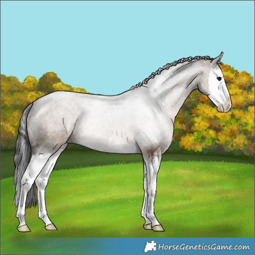 Horse Color:Brown Dun Splash Varnish 