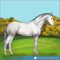 Horse Color:Brown Dun Splash Varnish 