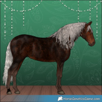 Horse Color:Void Silver Brown Roan 