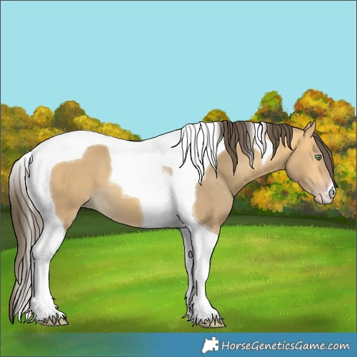 Horse Color:Sable Cream Champagne Tobiano