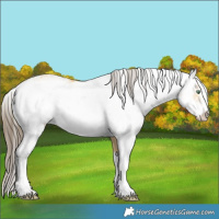 Horse Color:Amber Cream Champagne Dun Sabino