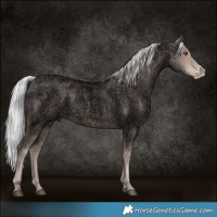 Horse Color:Void Platinum Silver Brown Roan Pearl 