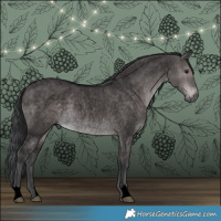 Horse Color:Void Platinum Brown Roan Dun 