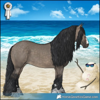 Horse Color:Brown Dun 