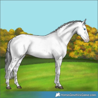 Horse Color:Black Frame 