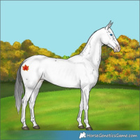 Horse Color:Black Frame 