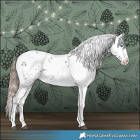 Horse Color:Liver Chestnut Frame 