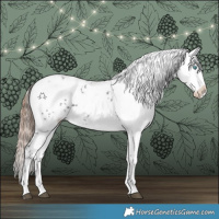 Horse Color:Liver Chestnut Frame 