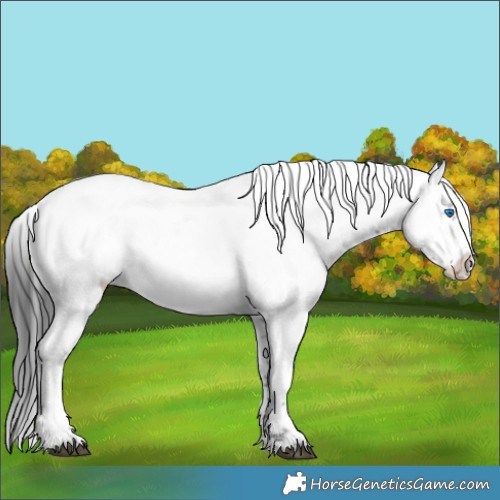 Horse Color:Black Frame 