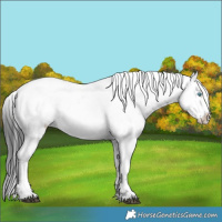 Horse Color:Black Frame 