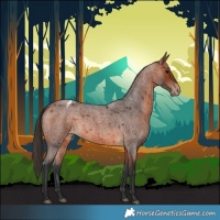 Horse Color:Bay Roan Varnish