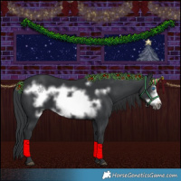 Horse Color:Black Frame 