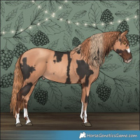 Horse Color:Liver Chestnut  and Gold Champagne 