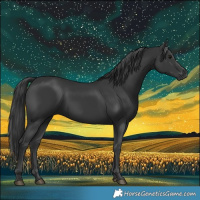 Horse Color:Black 