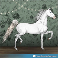 Horse Color:Liver Chestnut Frame 