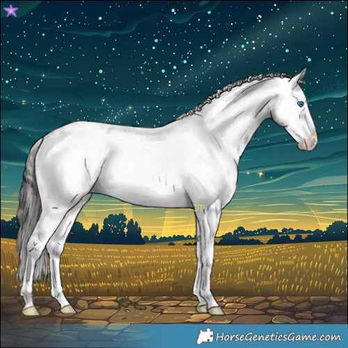 Horse Color:Liver Chestnut Frame 