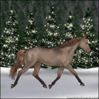 Horse Color:Liver Red Dun 