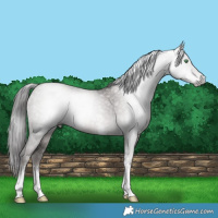Horse Color:Gray Platinum White Spotted Smoky Black Pearl Tobiano 