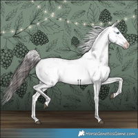 Horse Color:Liver Red Roan Frame 