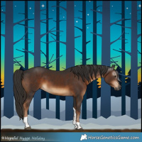 Horse Color:Gray Liver Chestnut Tobiano