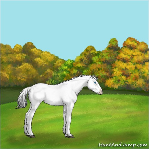 Horse Color:Black Frame 
