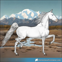 Horse Color:Silver Brown Frame 