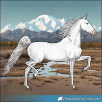 Horse Color:Silver Brown Frame