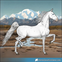 Horse Color:Silver Brown Frame 