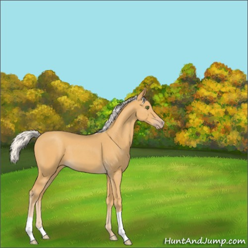 Horse Color:Silver Classic Cream Champagne 
