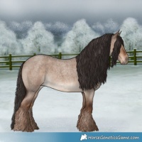 Horse Color:Liver Red Dun Roan 