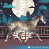 Horse Color:Plaid  Liver Red Onyx Tobiano 