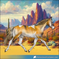 Horse Color:Plaid  Liver Red Onyx Tobiano 