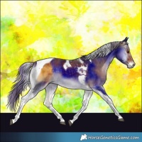 Horse Color:Plaid  Chocolate Palomino Onyx Tobiano 