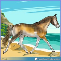 Horse Color:Gray Plaid  Liver Red Onyx Tobiano 