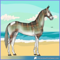 Horse Color:Plaid  Chocolate Palomino Onyx Tobiano 