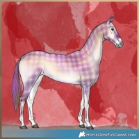 Horse Color:Plaid  Liver Red Dun Onyx Tobiano Rabicano 