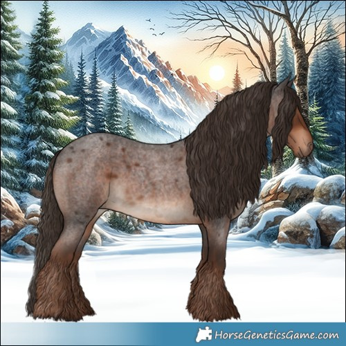 Horse Color:Liver Red Roan 