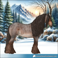Horse Color:Liver Red Roan 