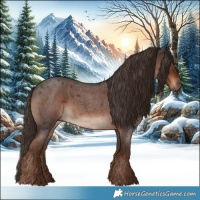 Horse Color:Liver Red Roan 