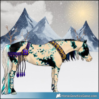 Horse Color:Palomino Splash Tobiano Appaloosa 